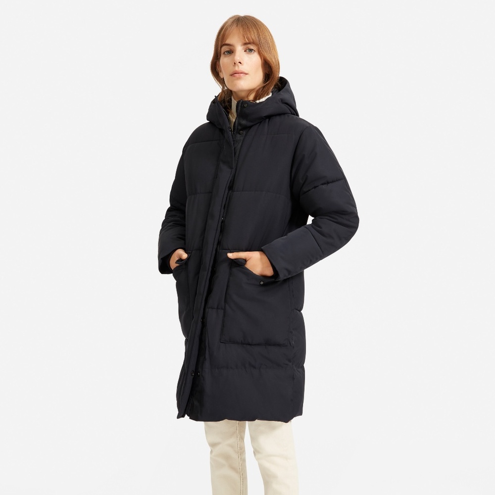 Everlane Renew Long Puffer (small)